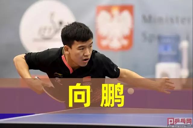 速引发了热 速引发了热