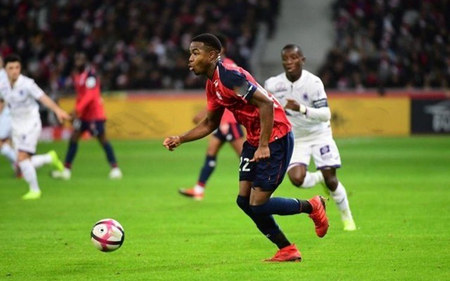 都像是对未 都像是对未